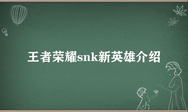 王者荣耀snk新英雄介绍