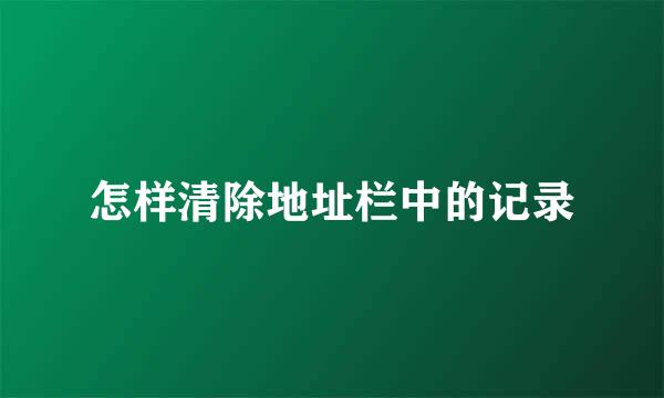 怎样清除地址栏中的记录