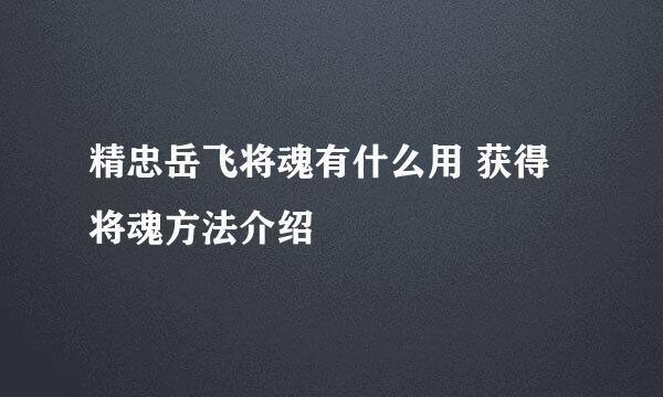 精忠岳飞将魂有什么用 获得将魂方法介绍