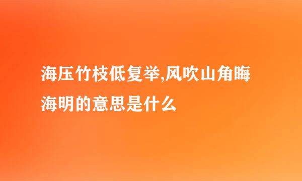 海压竹枝低复举,风吹山角晦海明的意思是什么