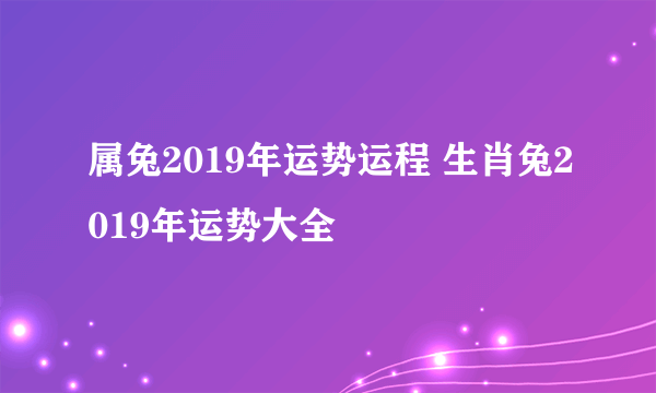 属兔2019年运势运程 生肖兔2019年运势大全