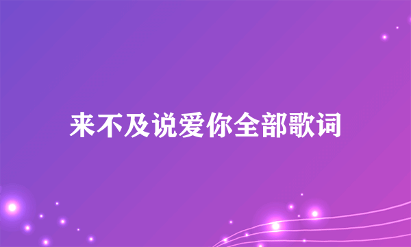 来不及说爱你全部歌词