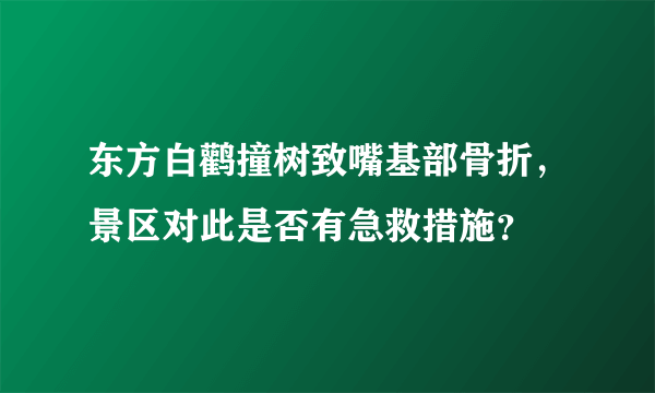 东方白鹳撞树致嘴基部骨折，景区对此是否有急救措施？