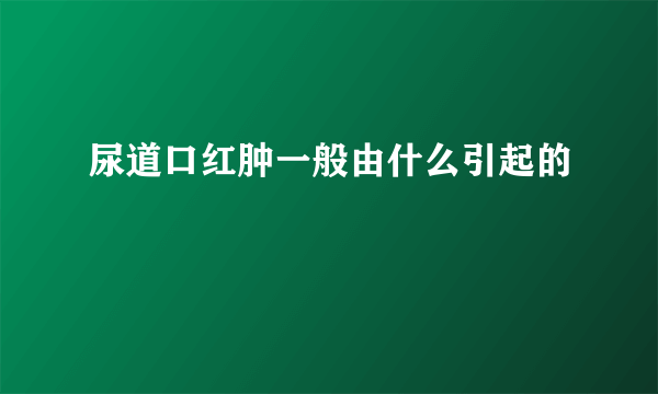 尿道口红肿一般由什么引起的