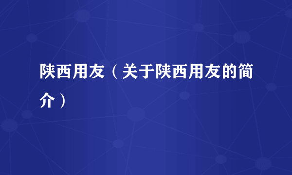 陕西用友（关于陕西用友的简介）