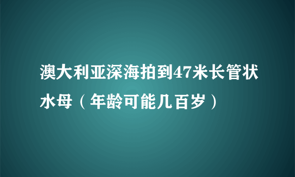 澳大利亚深海拍到47米长管状水母（年龄可能几百岁）