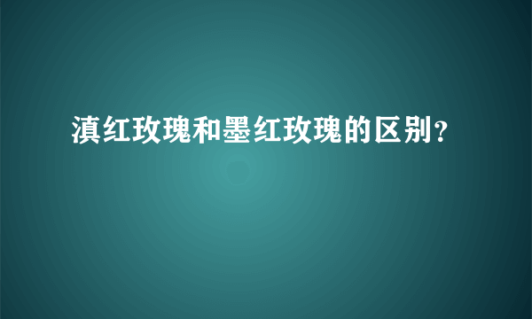 滇红玫瑰和墨红玫瑰的区别？