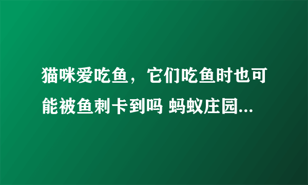 猫咪爱吃鱼，它们吃鱼时也可能被鱼刺卡到吗 蚂蚁庄园今日答案10月21日