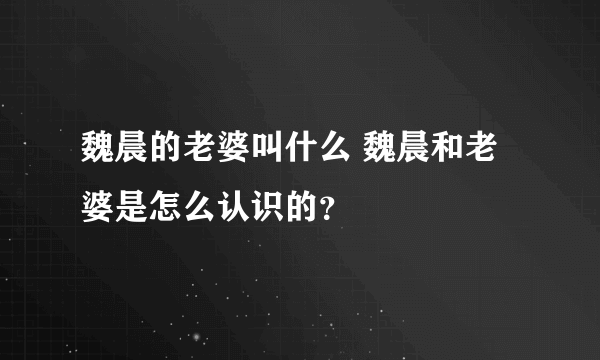 魏晨的老婆叫什么 魏晨和老婆是怎么认识的？