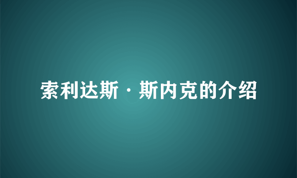 索利达斯·斯内克的介绍