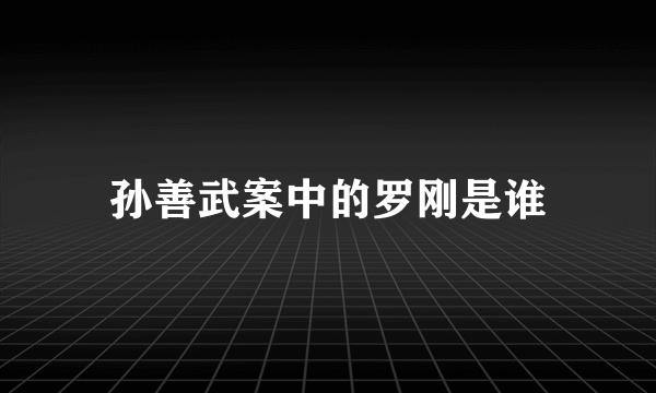 孙善武案中的罗刚是谁