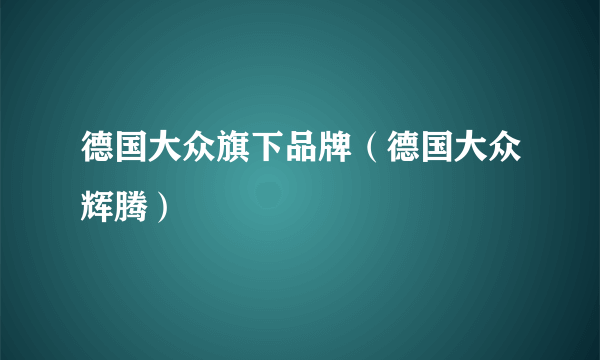 德国大众旗下品牌（德国大众辉腾）