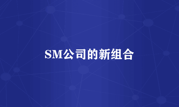 SM公司的新组合