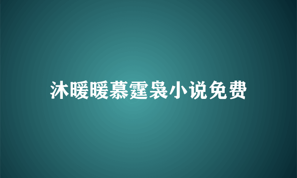 沐暖暖慕霆袅小说免费