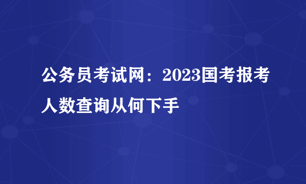 公务员考试网：2023国考报考人数查询从何下手