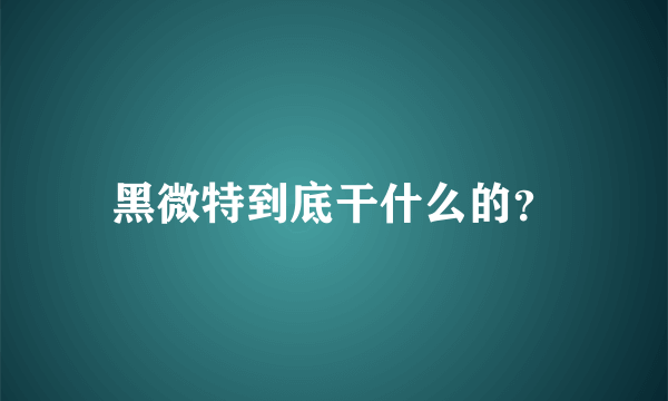 黑微特到底干什么的？