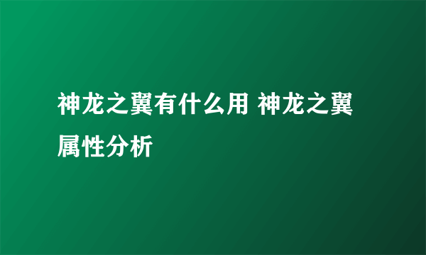 神龙之翼有什么用 神龙之翼属性分析