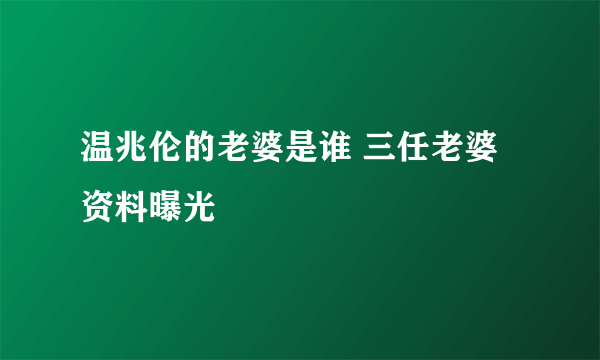 温兆伦的老婆是谁 三任老婆资料曝光