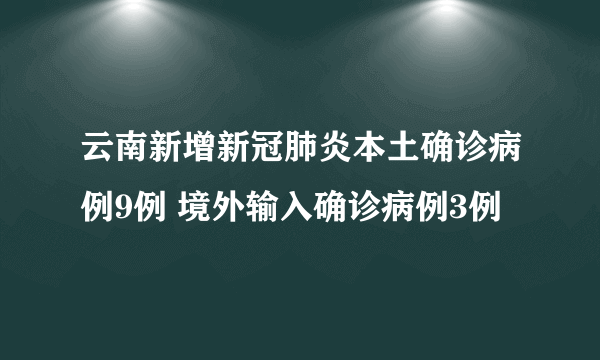 云南新增新冠肺炎本土确诊病例9例 境外输入确诊病例3例