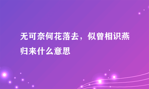 无可奈何花落去，似曾相识燕归来什么意思