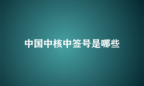 中国中核中签号是哪些