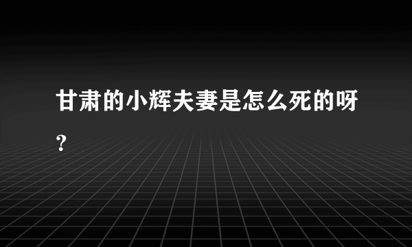 甘肃的小辉夫妻是怎么死的呀？