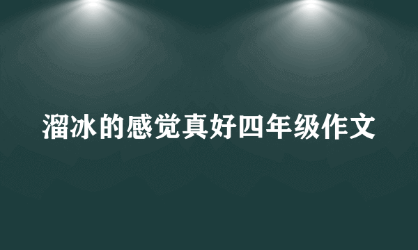 溜冰的感觉真好四年级作文