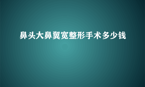 鼻头大鼻翼宽整形手术多少钱