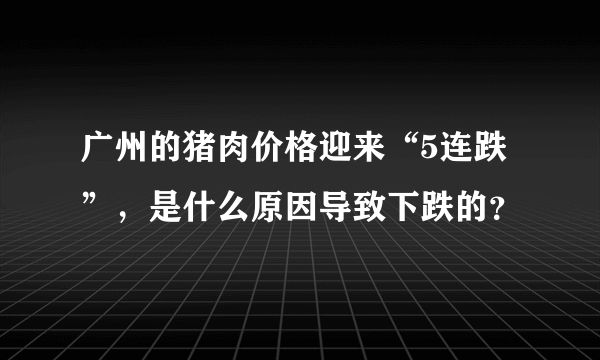 广州的猪肉价格迎来“5连跌”，是什么原因导致下跌的？