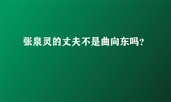 张泉灵的丈夫不是曲向东吗？