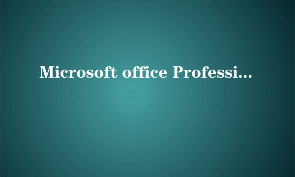 Microsoft office Professional edition是什么