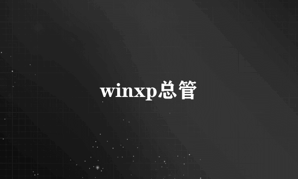 winxp总管