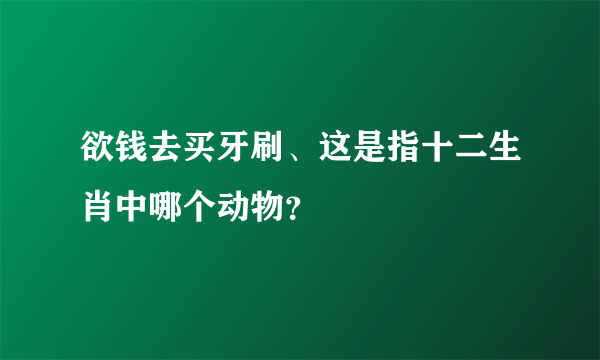 欲钱去买牙刷、这是指十二生肖中哪个动物？