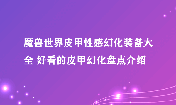 魔兽世界皮甲性感幻化装备大全 好看的皮甲幻化盘点介绍