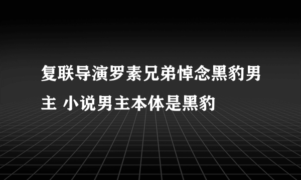 复联导演罗素兄弟悼念黑豹男主 小说男主本体是黑豹