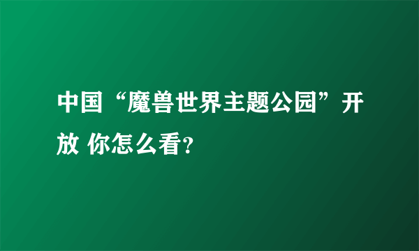 中国“魔兽世界主题公园”开放 你怎么看？