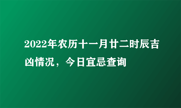 2022年农历十一月廿二时辰吉凶情况，今日宜忌查询