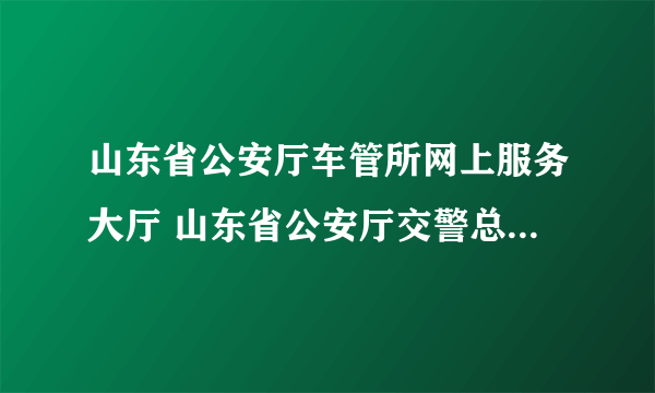 山东省公安厅车管所网上服务大厅 山东省公安厅交警总队车管所