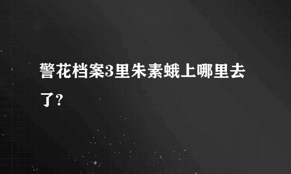 警花档案3里朱素蛾上哪里去了?