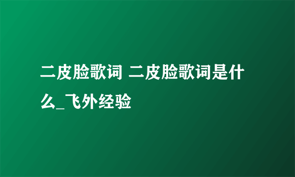 二皮脸歌词 二皮脸歌词是什么_飞外经验