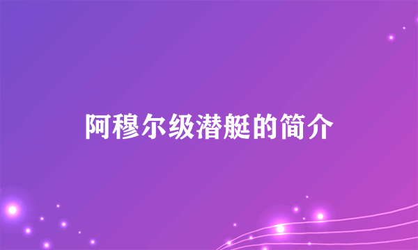 阿穆尔级潜艇的简介