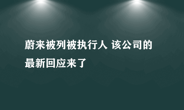 蔚来被列被执行人 该公司的最新回应来了