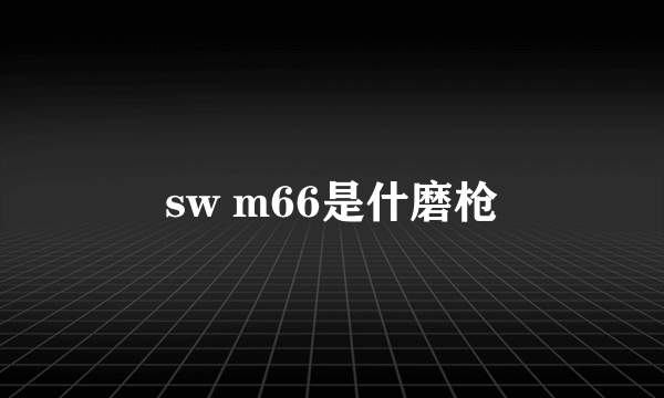 sw m66是什磨枪