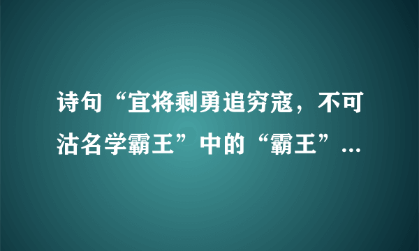 诗句“宜将剩勇追穷寇，不可沽名学霸王”中的“霸王”是指（）。