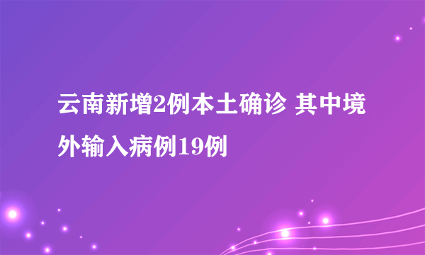 云南新增2例本土确诊 其中境外输入病例19例