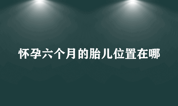 怀孕六个月的胎儿位置在哪