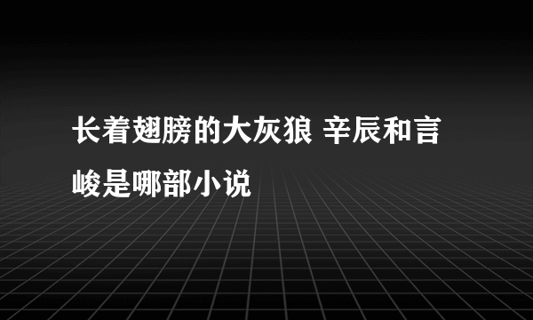 长着翅膀的大灰狼 辛辰和言峻是哪部小说