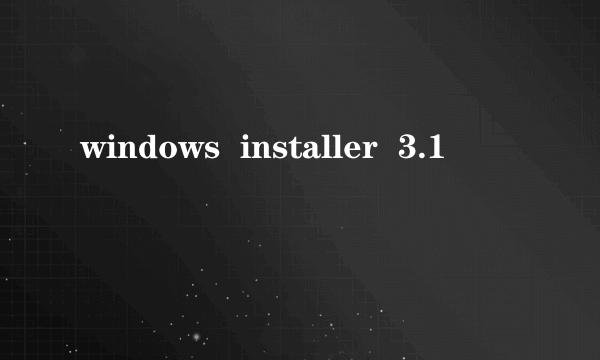 windows  installer  3.1