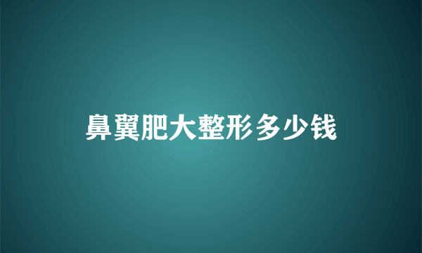 鼻翼肥大整形多少钱