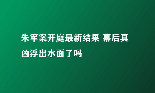 朱军案开庭最新结果 幕后真凶浮出水面了吗